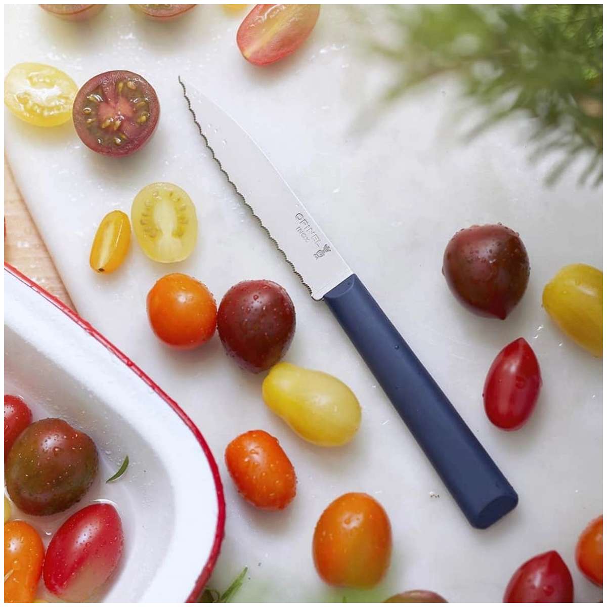 Opinel Serrated Paring Knife 10 cm With Blue Handle No 313 Essentiels+ 002353