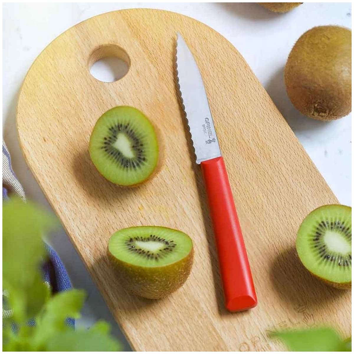 Opinel Serrated Paring Knife 10 cm With Red Handle No 313 Essentiels+ 002355