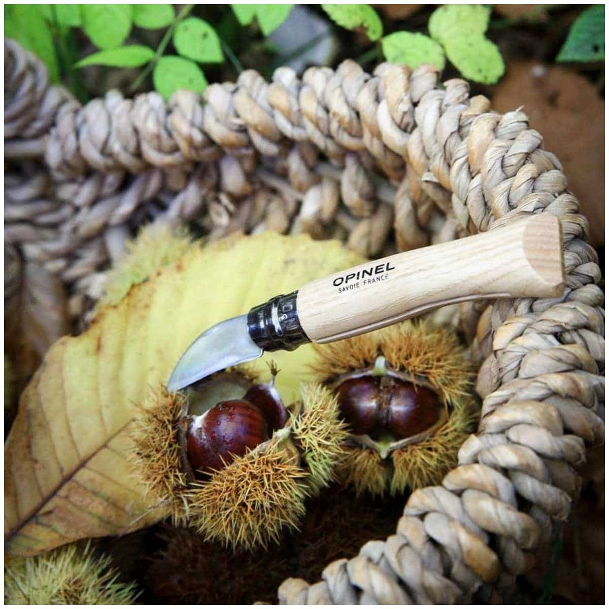 Opinel Pocket Knife 4 cm Chestnut Wood Handle No 7 002360
