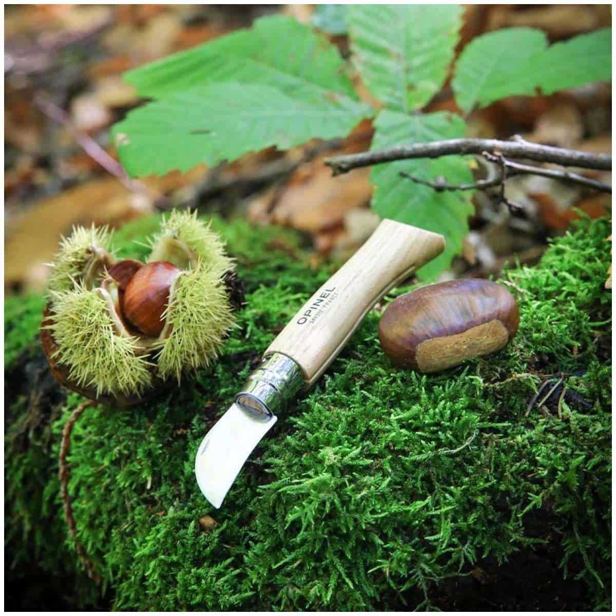 Opinel Pocket Knife 4 cm Chestnut Wood Handle No 7 002360