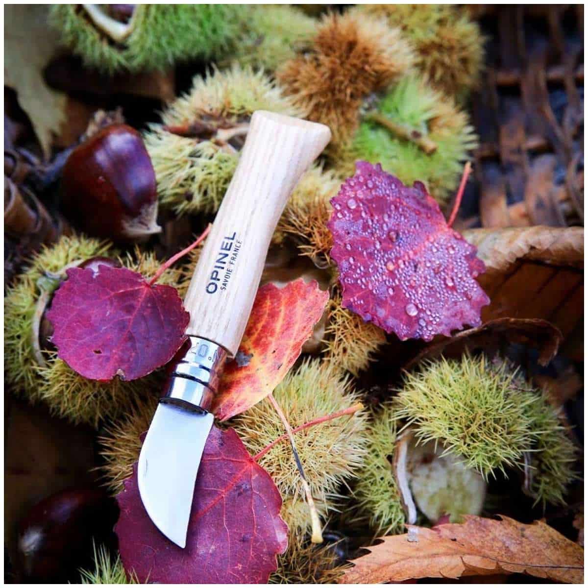 Opinel Pocket Knife 4 cm Chestnut Wood Handle No 7 002360