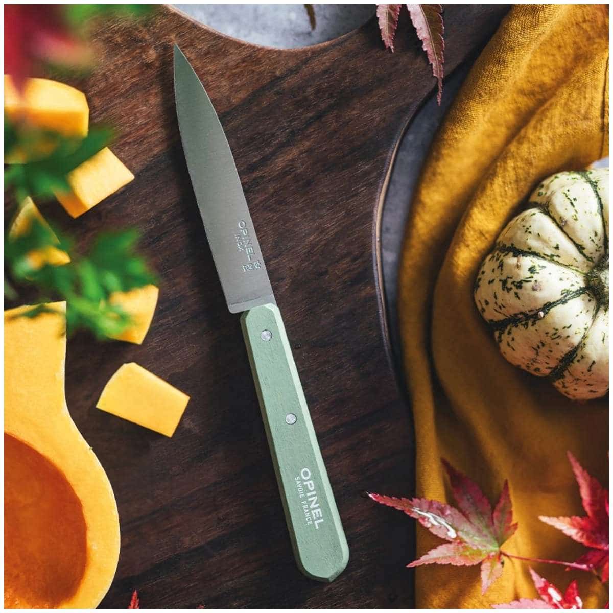 Opinel Paring Knife 10 cm Green Wooden Handle No 112 Paysage 003117