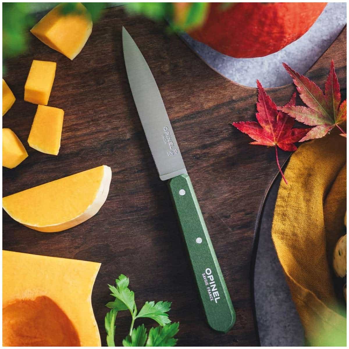 Opinel Paring Knife 10 cm Khaki Wooden Handle No 112 Paysage 003118