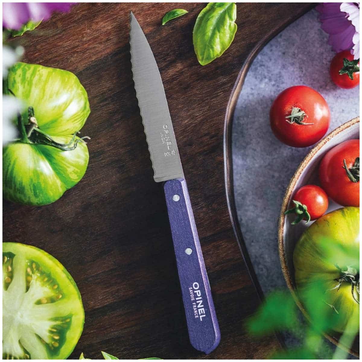 Opinel Serrated Paring Knife 10 cm Purple Wooden Handle No 112 Paysage 003120