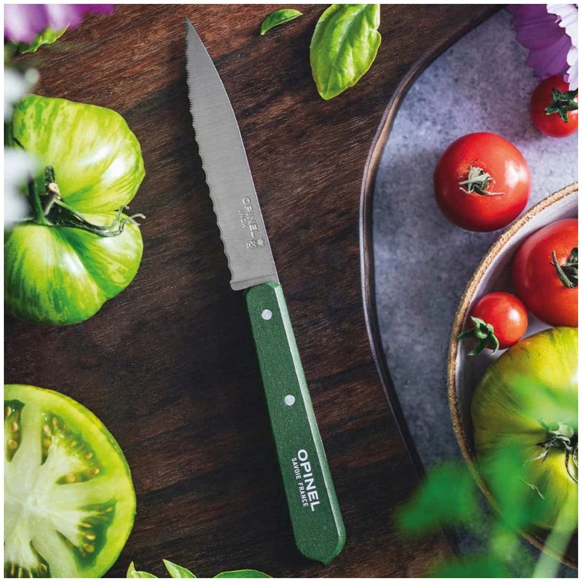 Opinel Serrated Paring Knife 10 cm Khaki Wooden Handle No 112 Paysage 003122