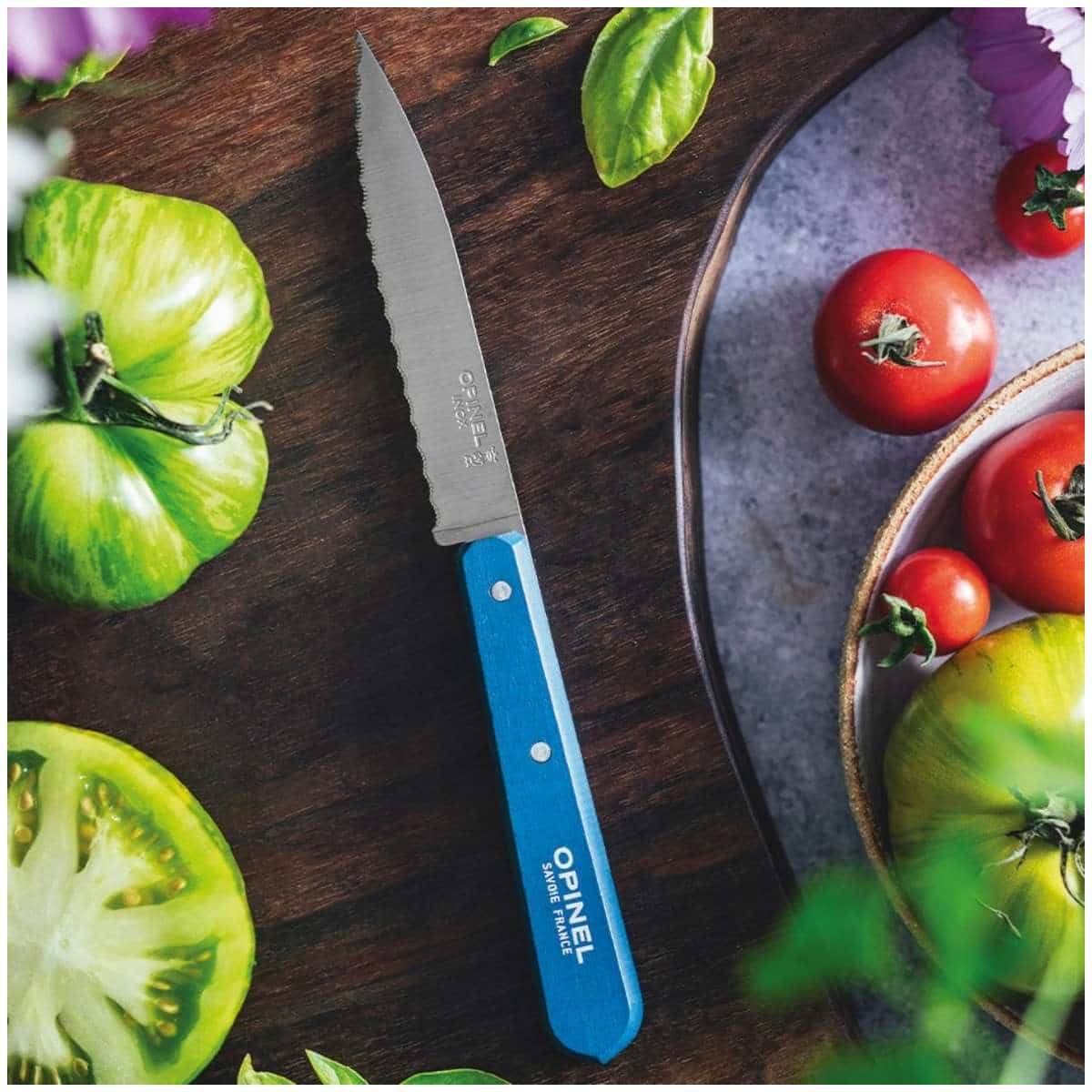 Opinel Serrated Paring Knife 10 cm Blue Wooden Handle No 112 Paysage 003202