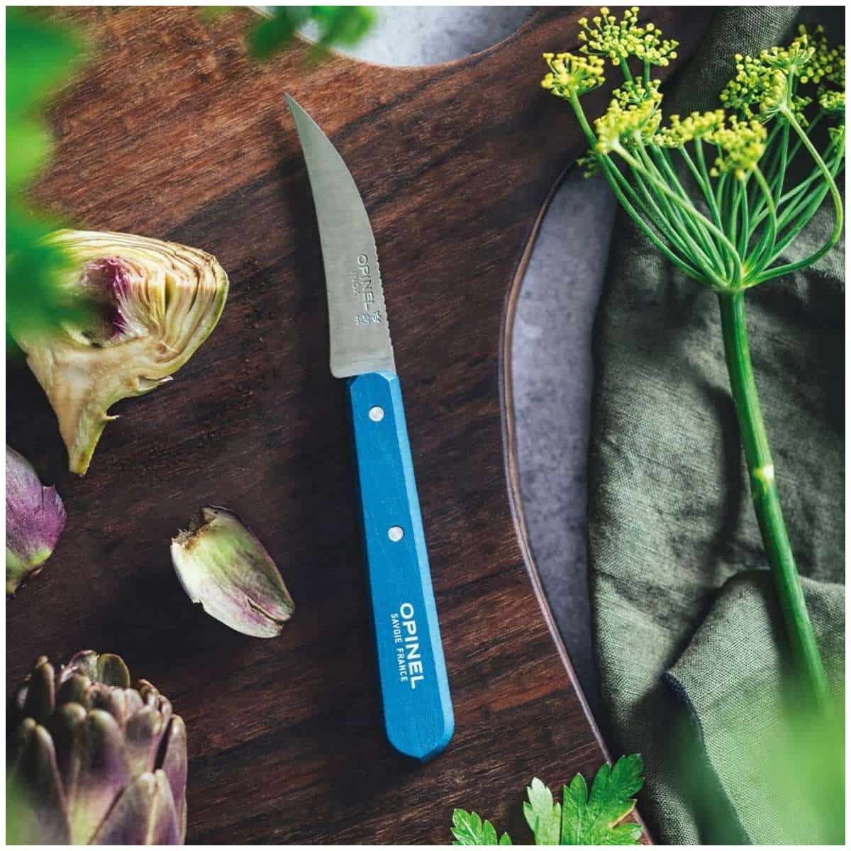 Opinel Peeling Knife 7 cm Blue Wooden Handle No 114 Paysage 003203