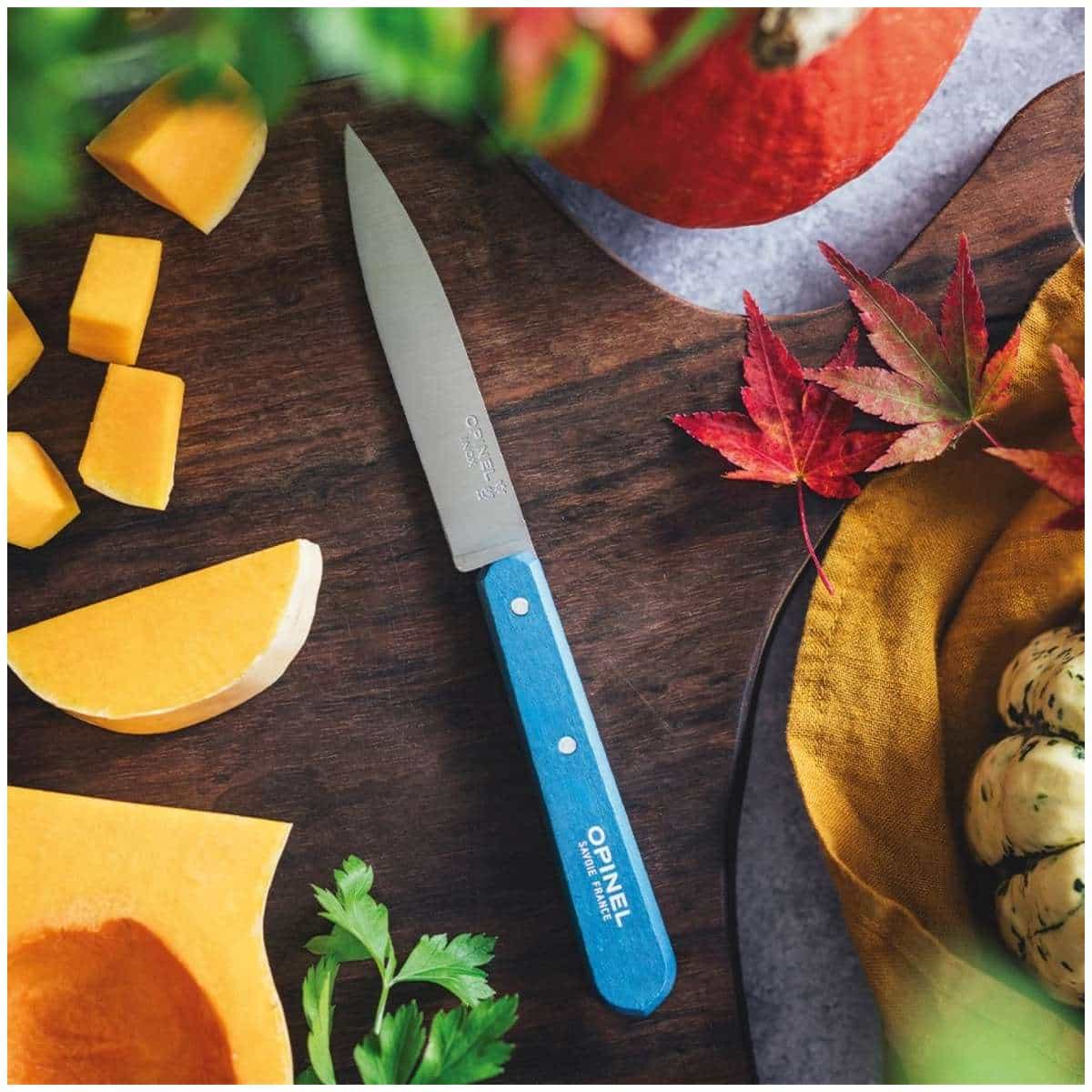 Opinel Paring Knife 10 cm Blue Wooden Handle No 112 Paysage 003206