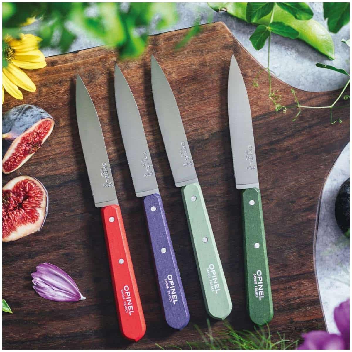 Opinel Kitchen Knives 10 cm Set 4 pcs No 112 Paysage 003207