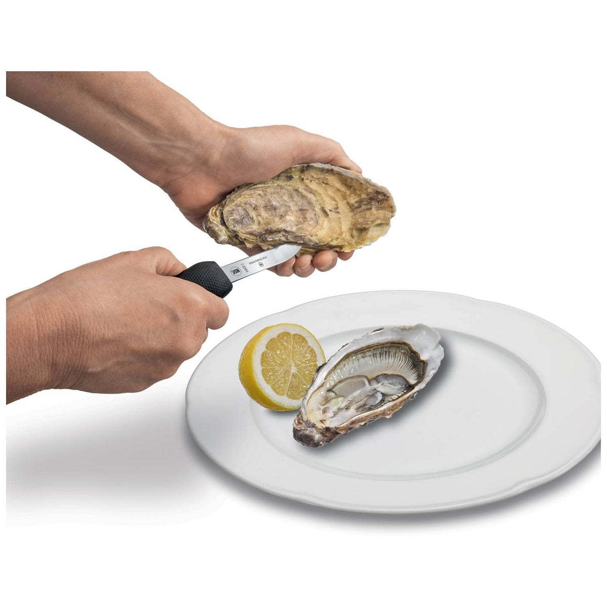 Victorinox Shellfish Knife 7 cm 7.6394