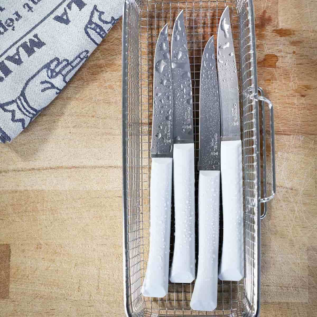 Opinel Kitchen Knives Set 4 pcs No 125 Bon Appetit+ White 001904