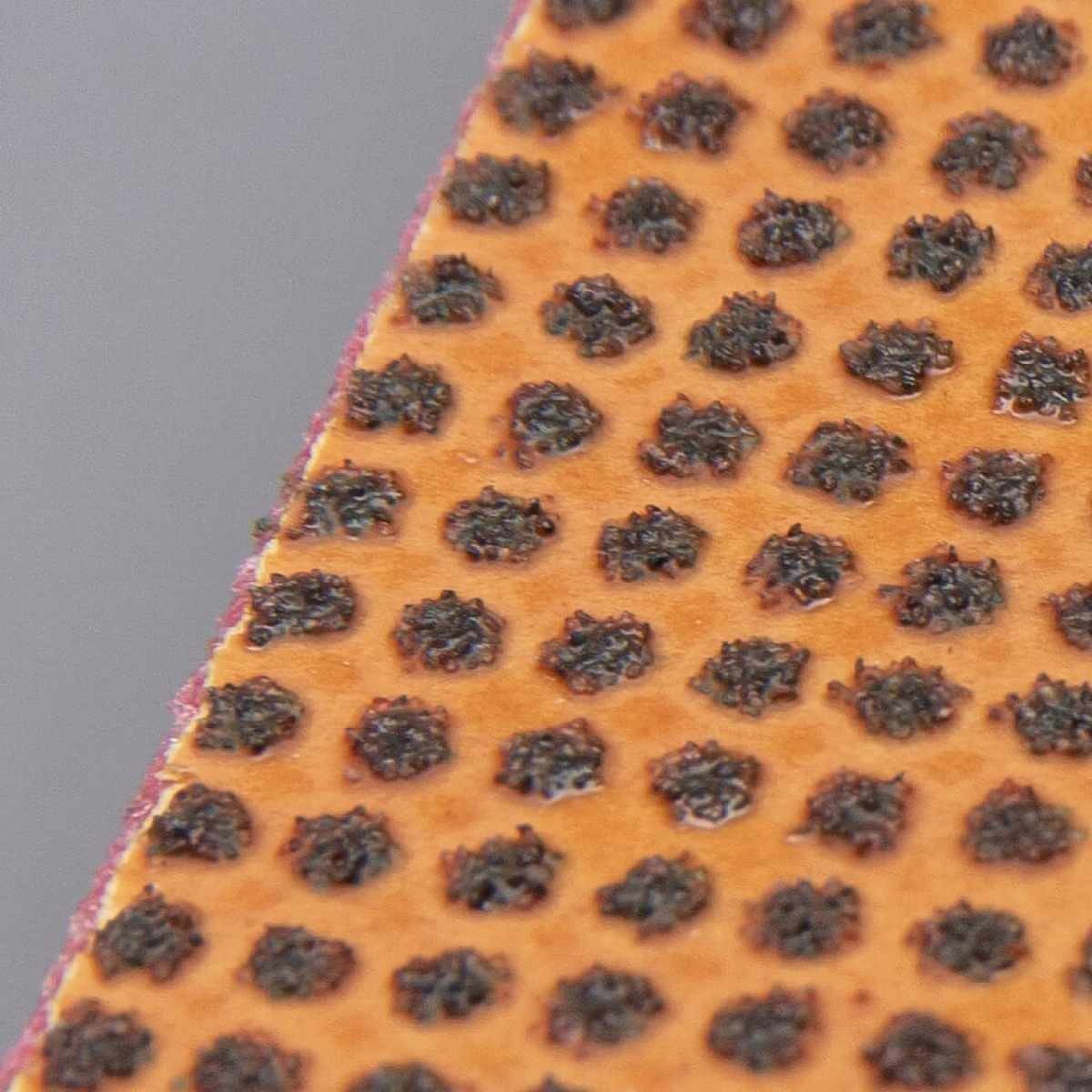Hasegawa Scraper For Cutting Boards CBS - 115P