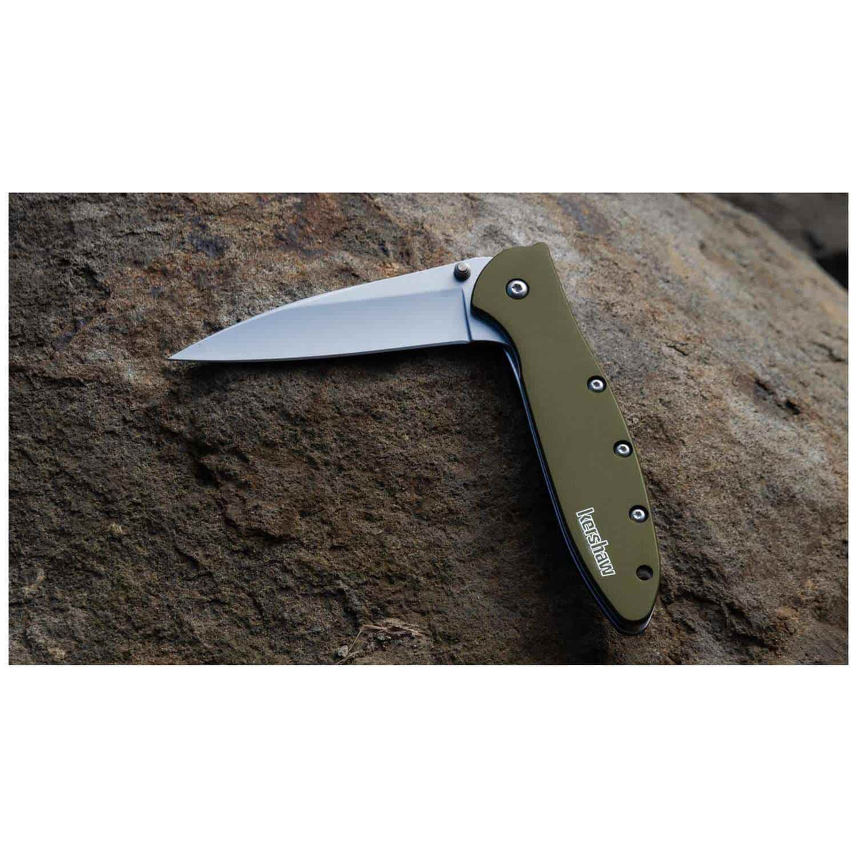 Kershaw Leek Bead-Blasted Pocket Knife 8 cm Olive Handle 68 gr 1660OL