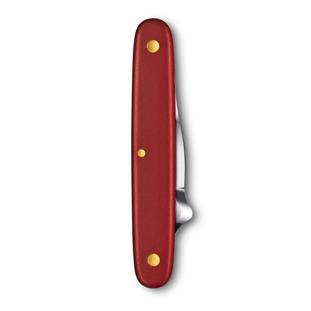 Victorinox Budding Knife Combi S Swiss Army Knife 100 mm 2 Functions Red 3.9040
