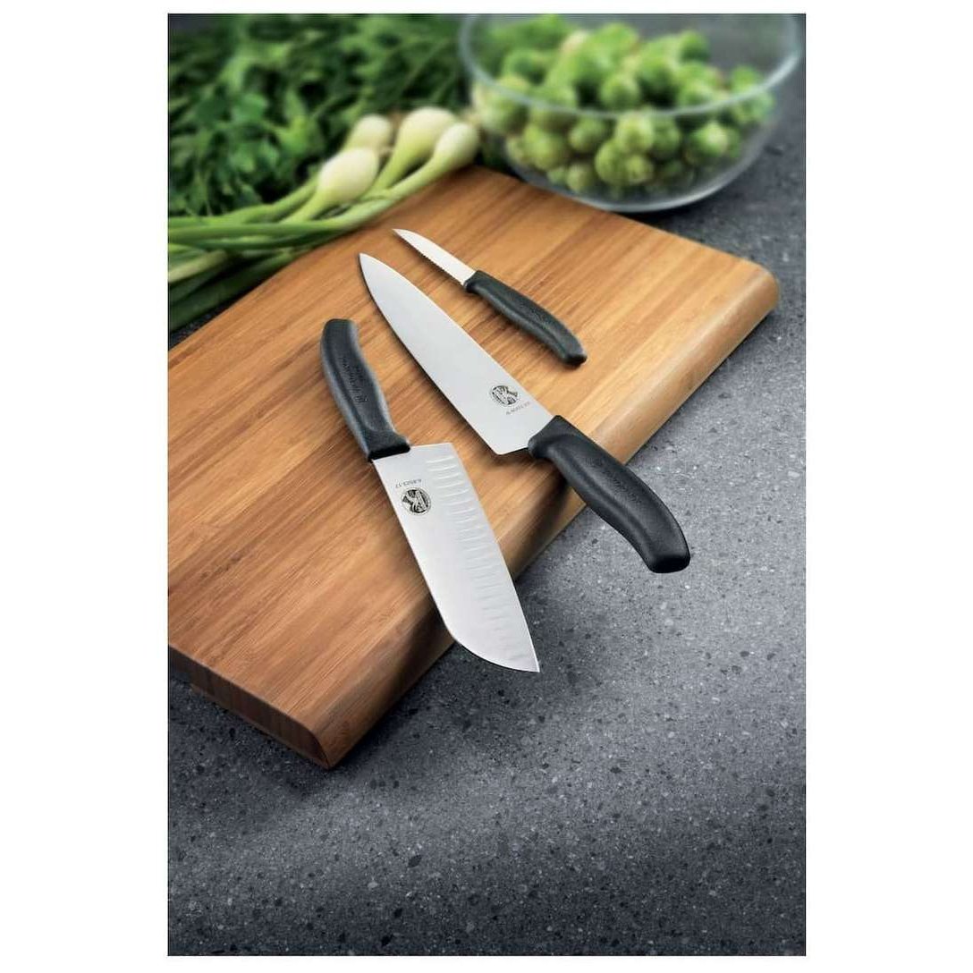 Victorinox Serrated Utility Knife 10 cm Red Handle Swiss Classic 6.7831