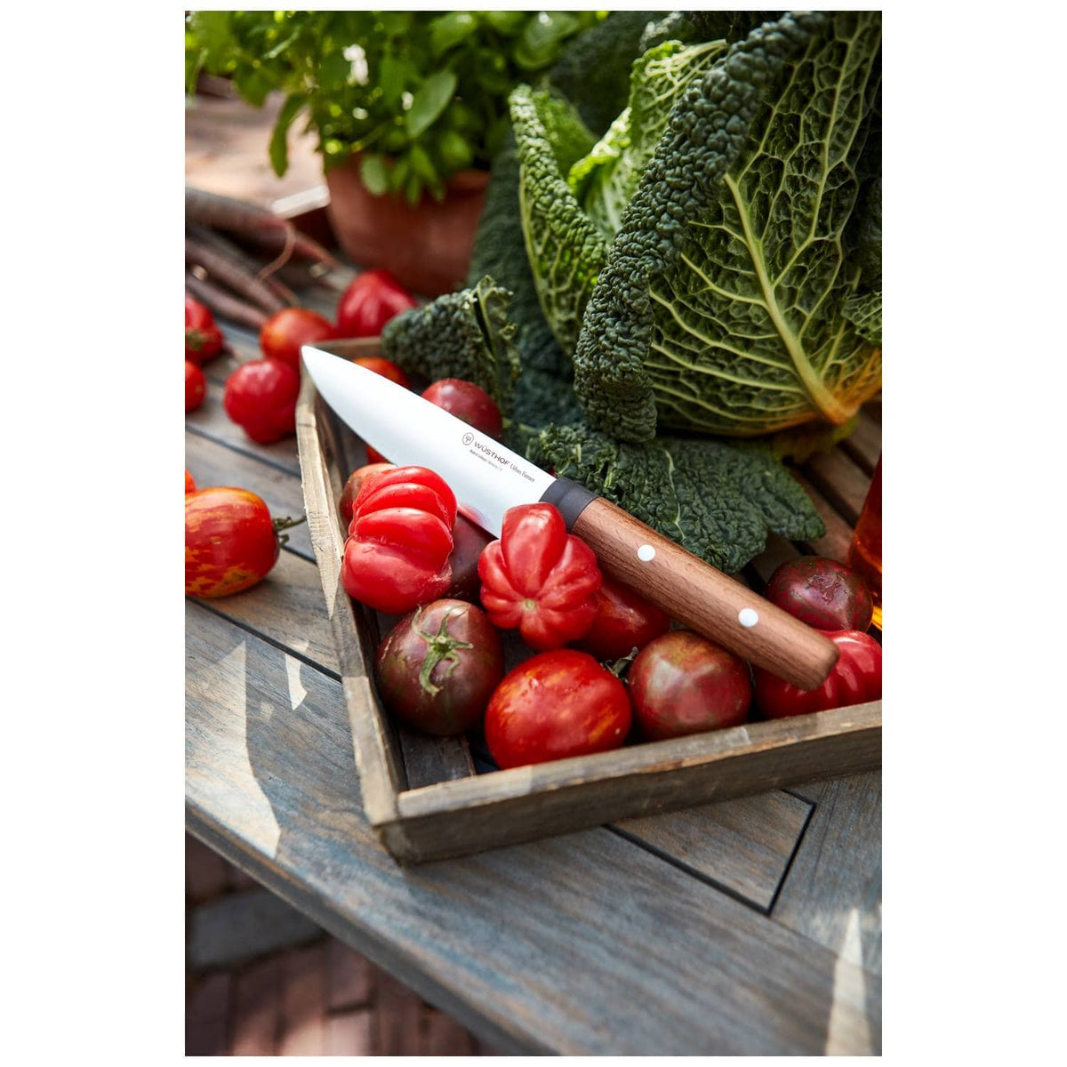 Wusthof Bread Knife 23 cm Urban Farmer 1025245723