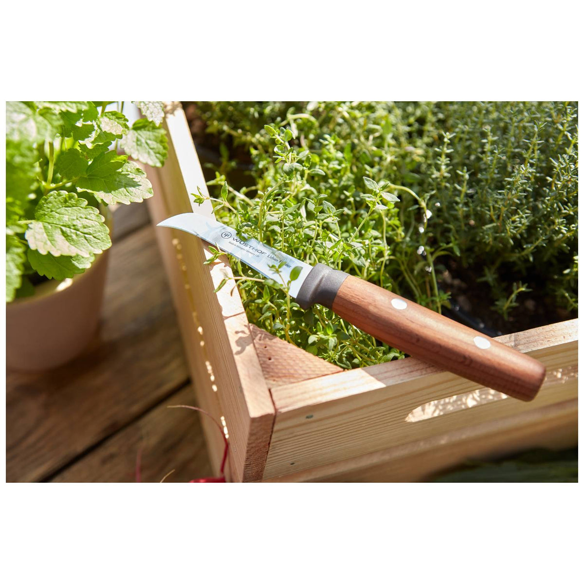 Wusthof Bread Knife 23 cm Urban Farmer 1025245723