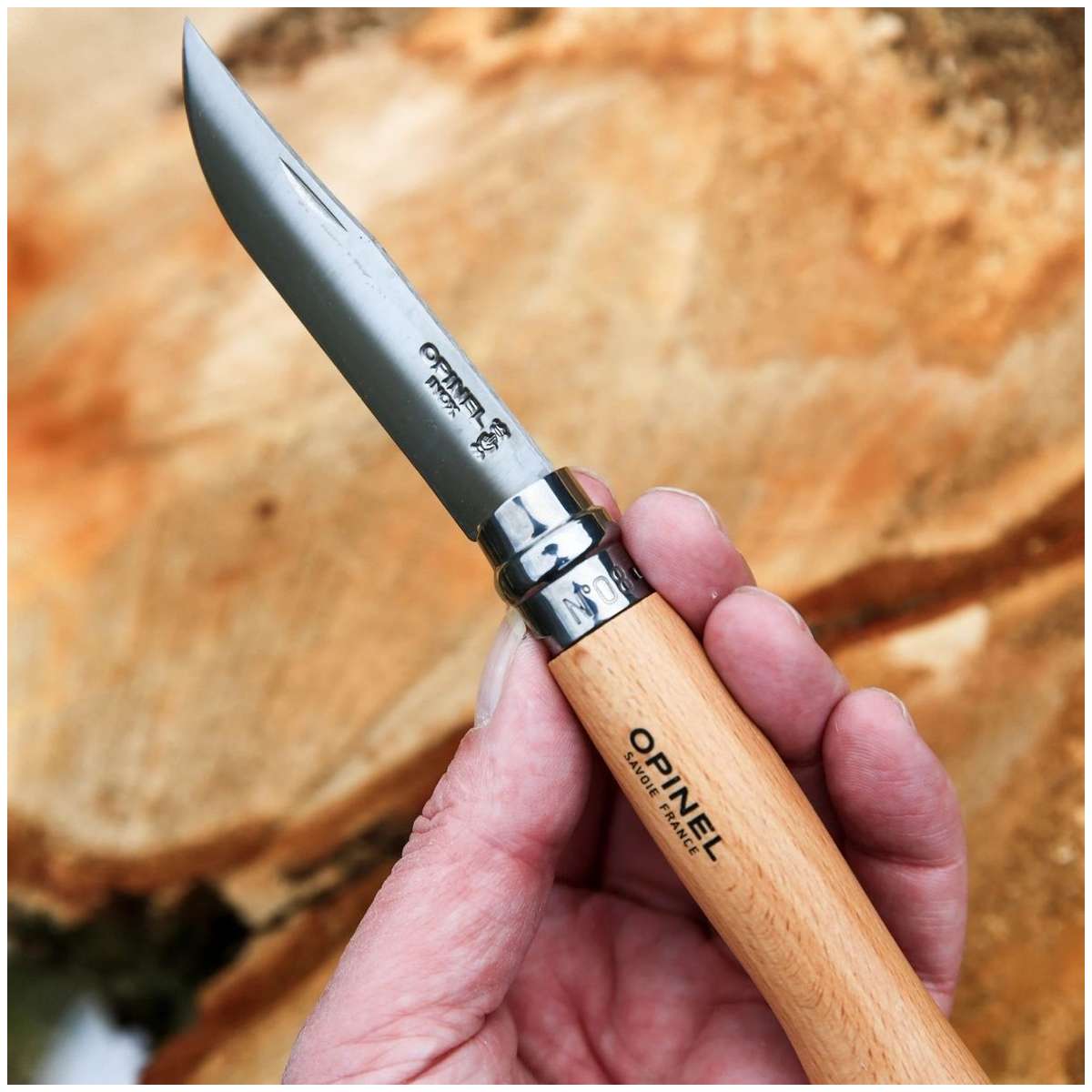 Opinel Pocket Knife 8.5 cm Beech Wood Handle and Steath in a Wooden Gift Box With Glass Lid No 8 Inox 001089