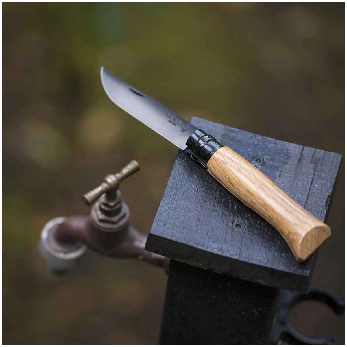 Opinel Pocket Knife 8.5 cm With Black Blade Oak Wood Handle and Steath in a Wooden Gift Box No 8 Inox 002172