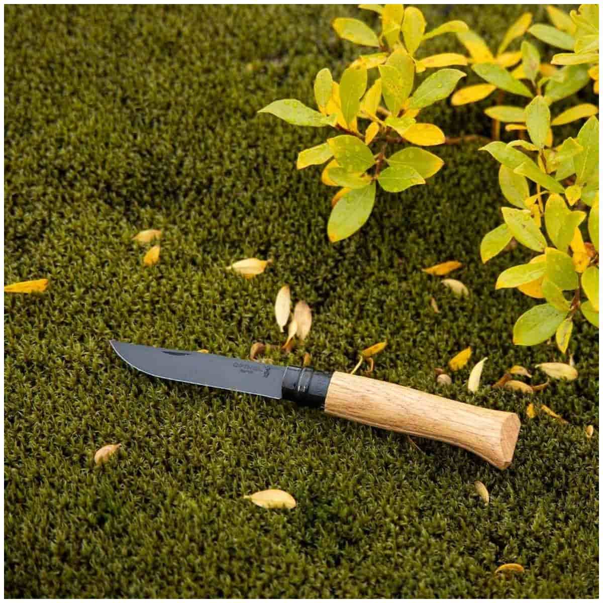 Opinel Pocket Knife 8.5 cm With Black Blade Oak Wood Handle and Steath in a Wooden Gift Box No 8 Inox 002172