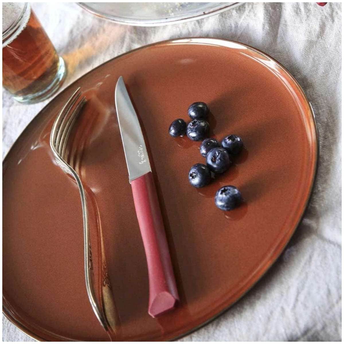 Opinel Serrated Paring Knive 11 cm With Burgundy Handle Νο 125 Bon Appetit+ 002196