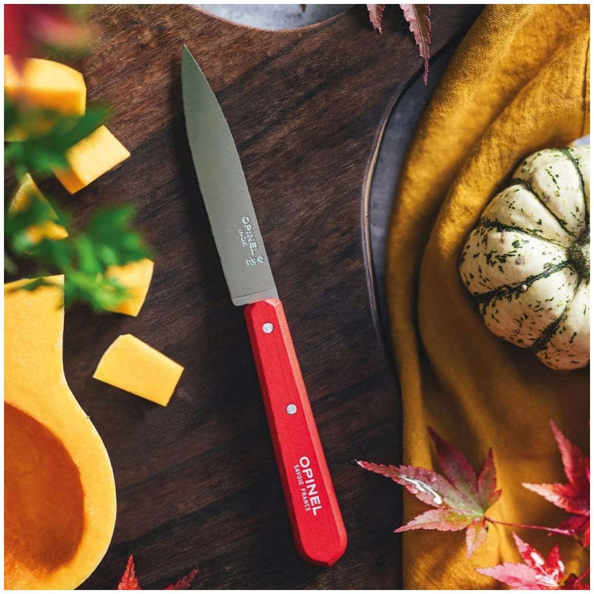 Opinel Paring Knife 10 cm Red Wooden Handle No 112 Paysage 003115