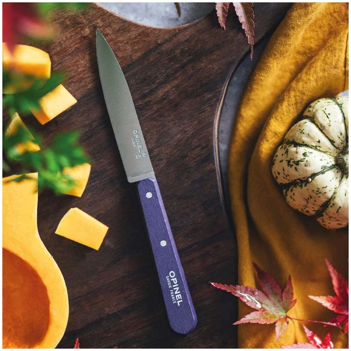 Opinel Paring Knife 10 cm Purple Wooden Handle No 112 Paysage 003116