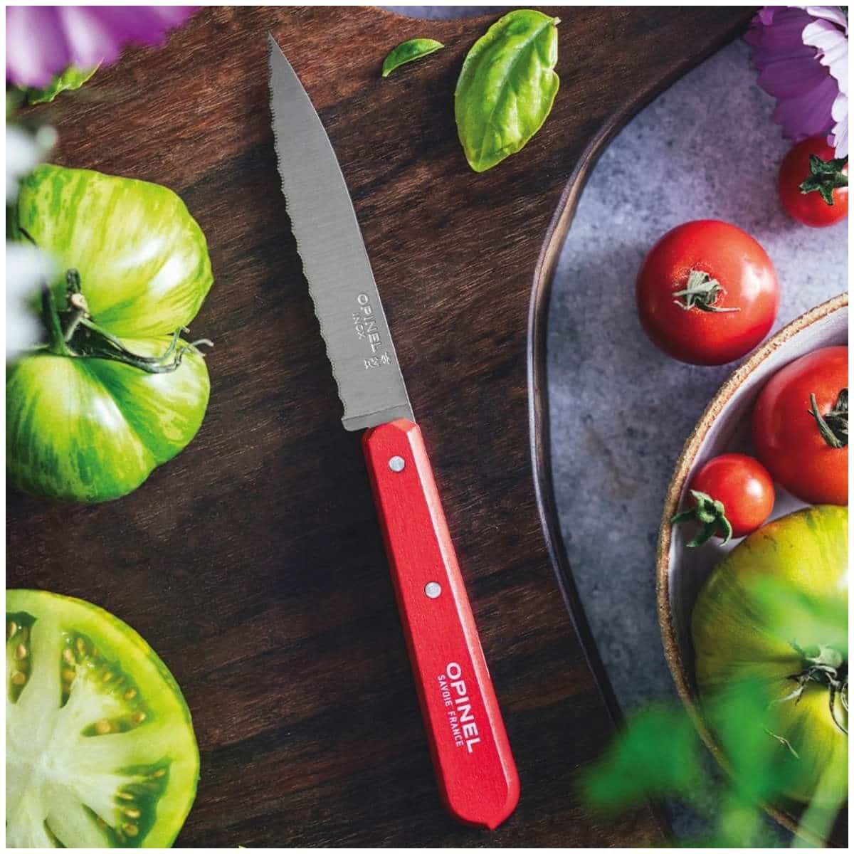 Opinel Serrated Paring Knife 10 cm Red Wooden Handle No 112 Paysage 003119