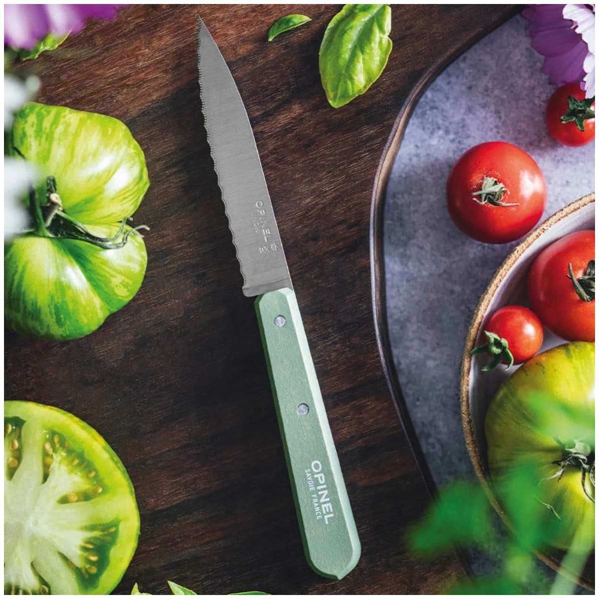 Opinel Serrated Paring Knife 10 cm Green Wooden Handle No 112 Paysage 003121