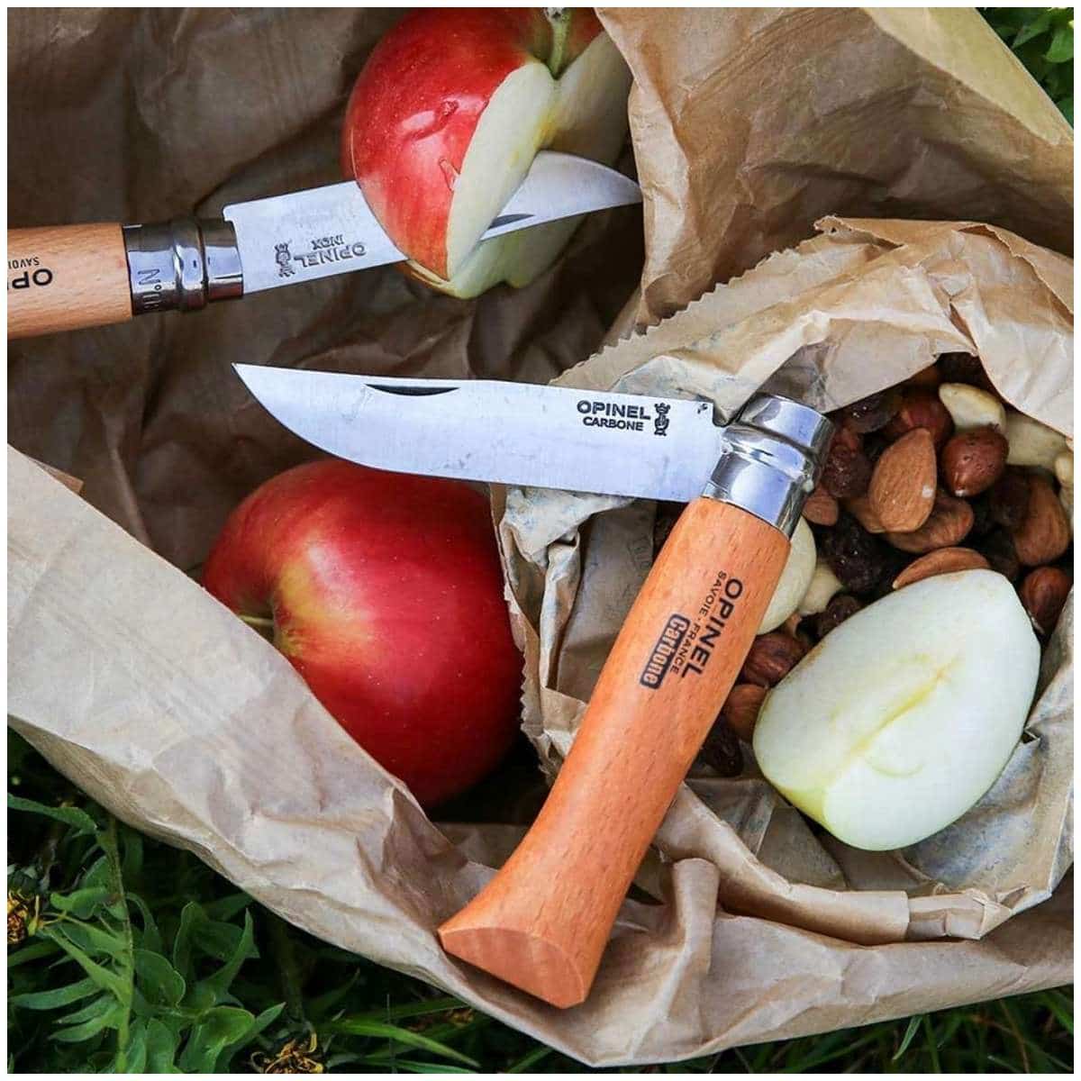 Opinel Pocket Knife 10 cm Beech Wood Handle No 10 Carbon 113100