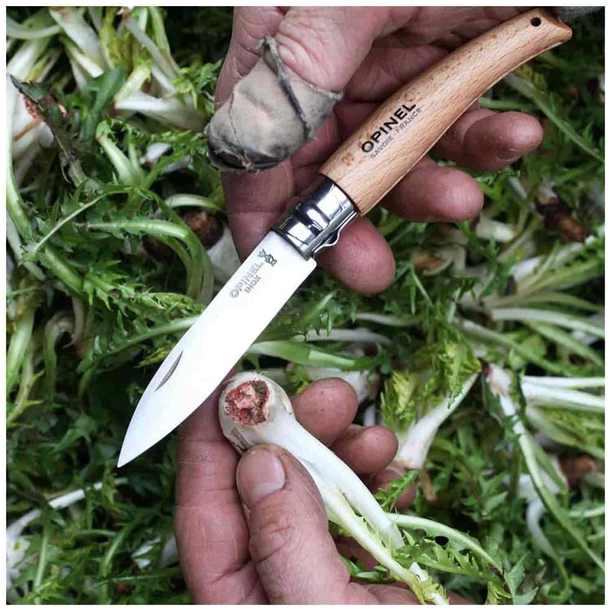 Opinel Pocket Knife 8 cm Beech Wood Handle No 8 Garden 133080