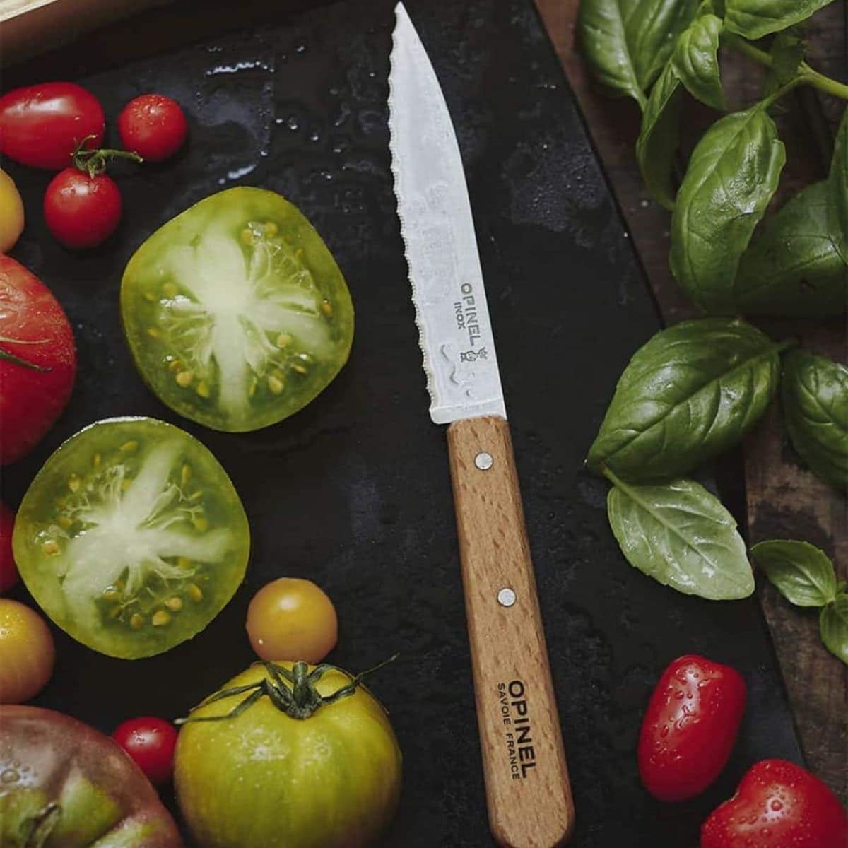 Opinel Serrated Utility Knife 10 cm Wooden Handle No 113 Les Essentiels 001918