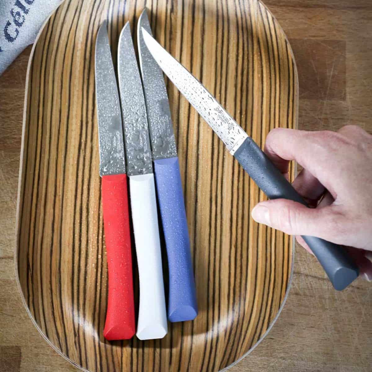 Opinel Kitchen Knives Set 4 pcs No 125 Bon Appetit+ Primo 002048