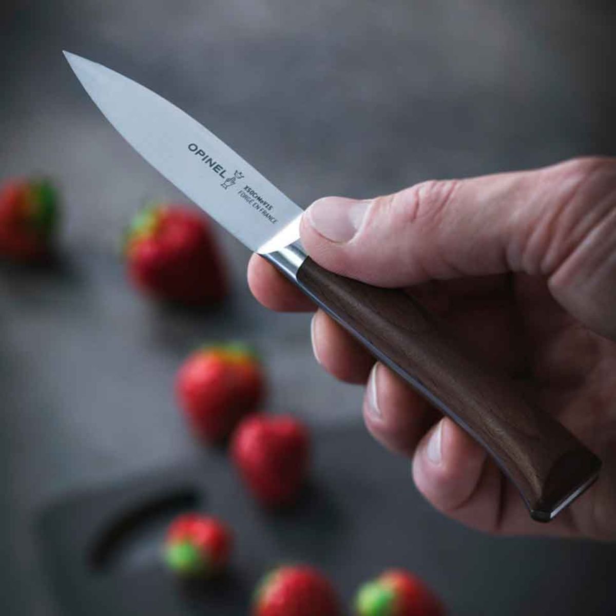 Opinel Utility Knife 8 cm Les Forges 1890 002291