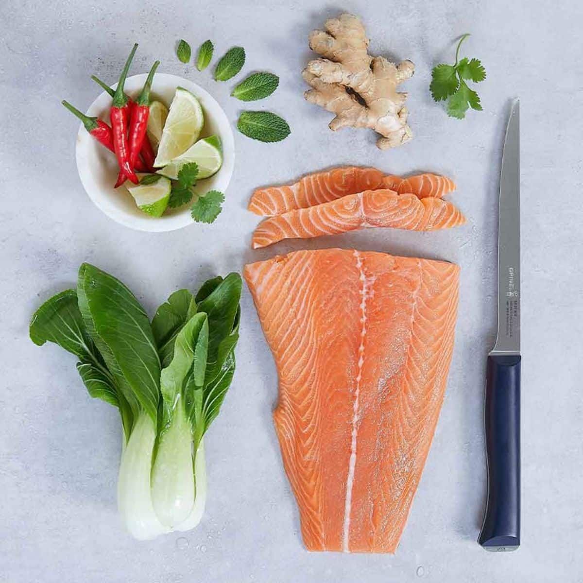 Opinel Filleting Knife 18 cm No 221 Intempora 002221