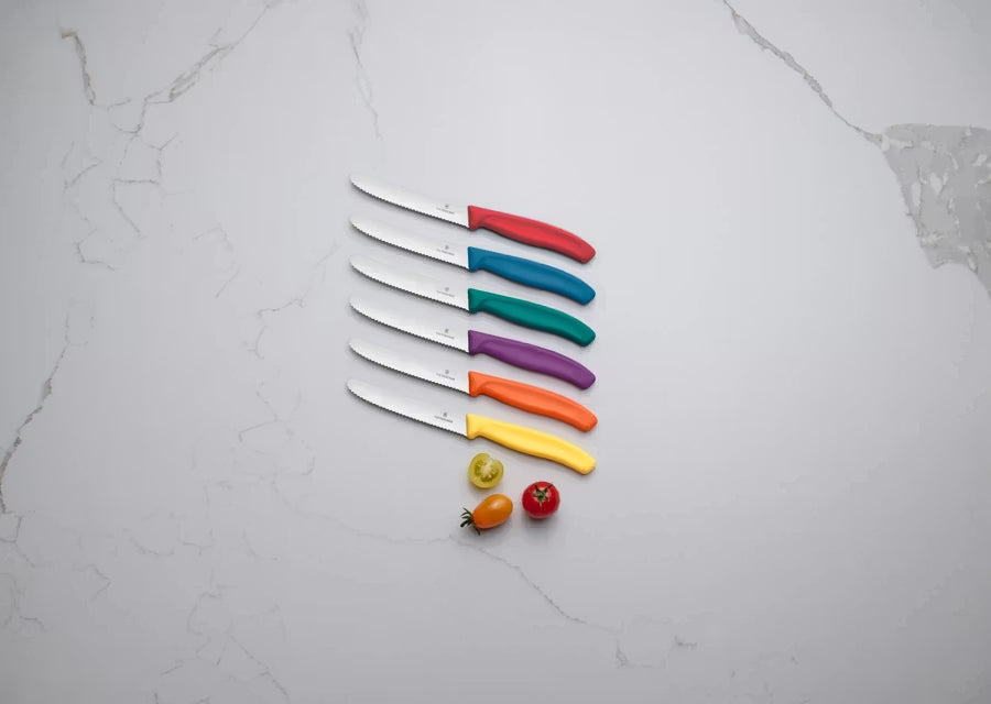 Victorinox Μαχαίρια κουζίνας 11 εκατ. στρογγυλλά οδοντωτά πολύχρωμη λαβή σετ 6 τμχ Swiss Classic 6.7836.6C1