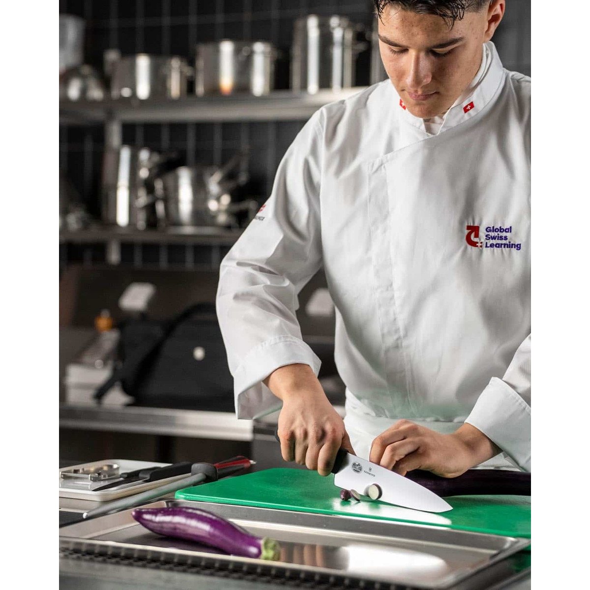 Victorinox Chef's Knife 16 pcs Set And Knife Bag Folder Compact 5.4963.1