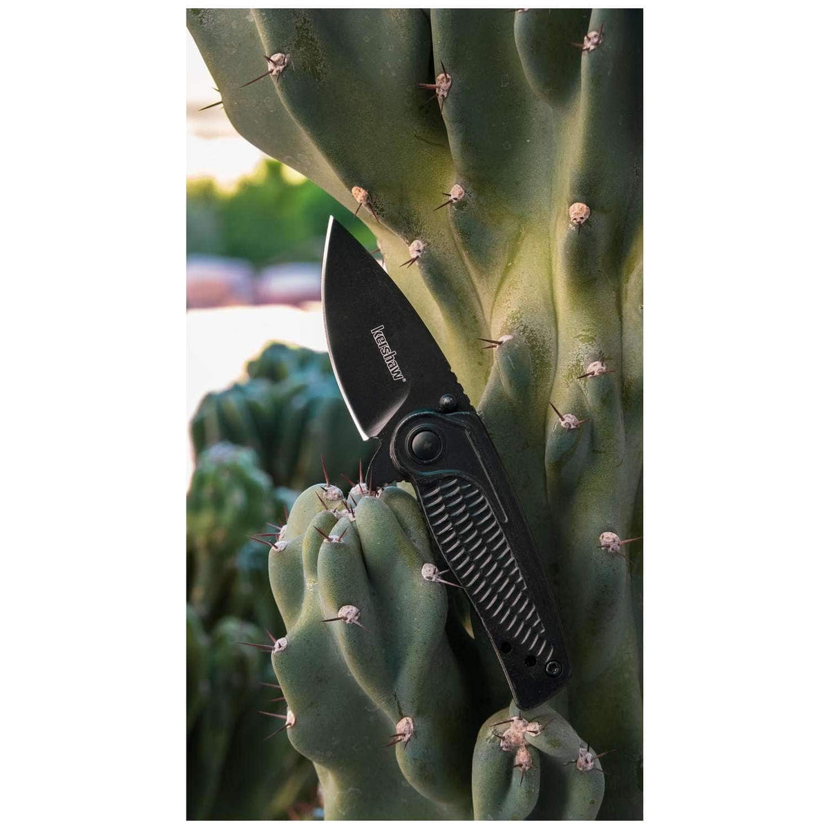 Kershaw Spoke Black Pocket Knife 5 cm Black Handle 88 gr 1313BLK