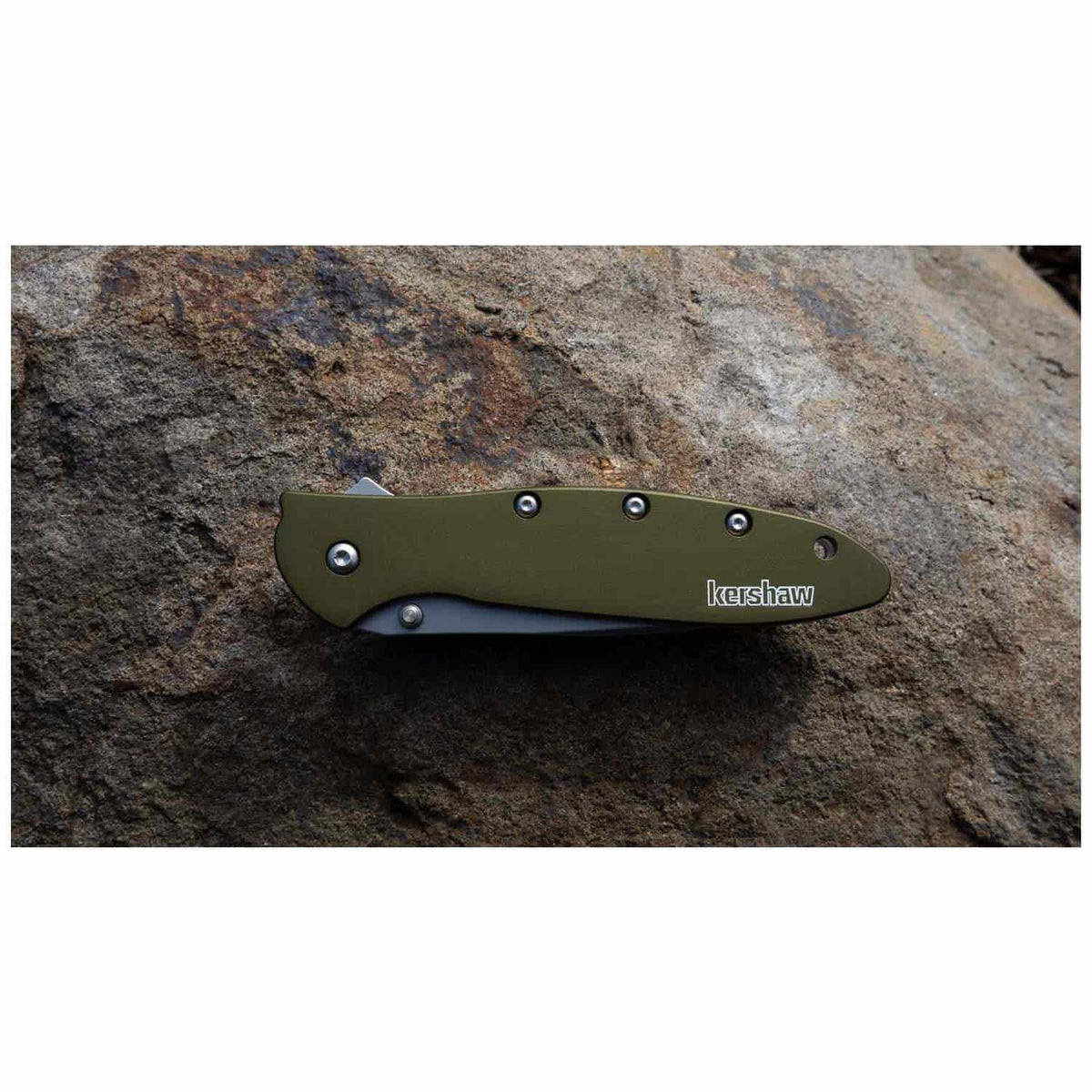 Kershaw Leek Bead-Blasted Pocket Knife 8 cm Olive Handle 68 gr 1660OL