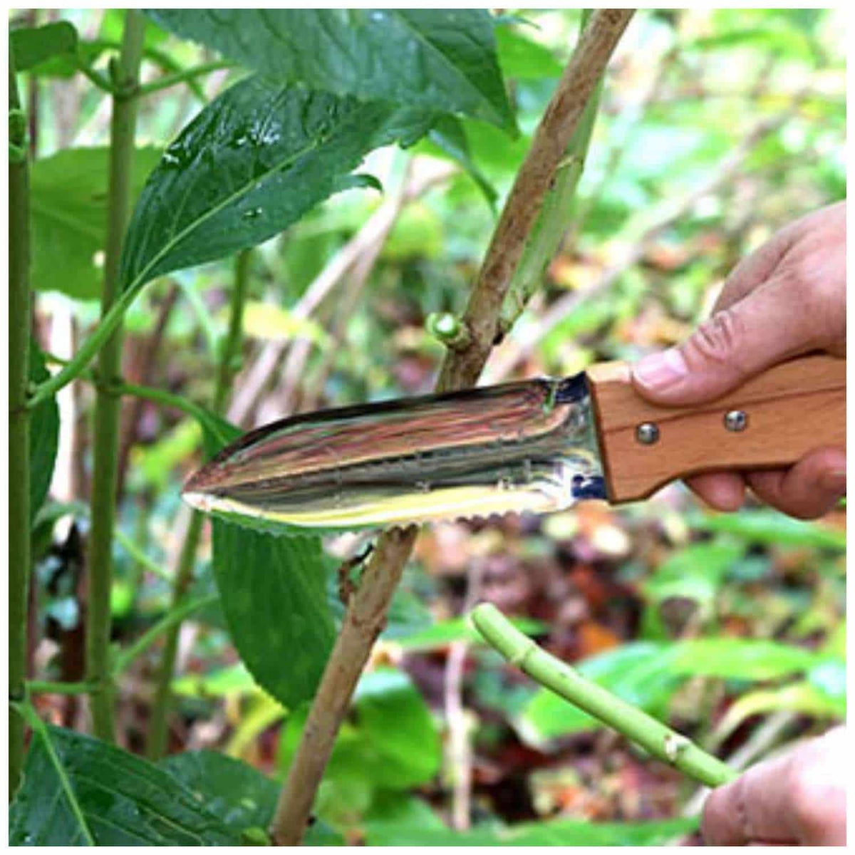Nisaku Gardening Knife 13 cm Hori Hori With Sheath Yamakodachi 6200