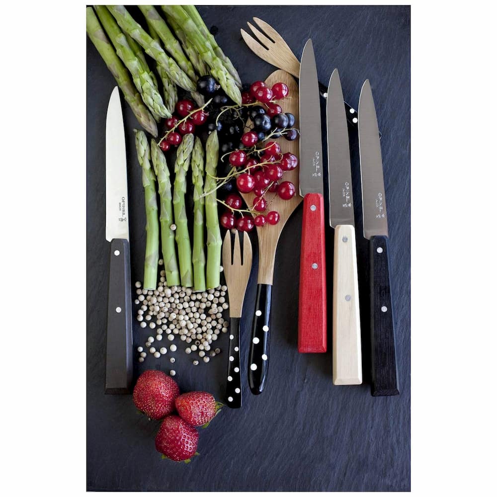 Opinel Kitchen Knives 4 pcs Set No 125 With Wooden Multicoloured Handles Bon Appetit Loft 001534