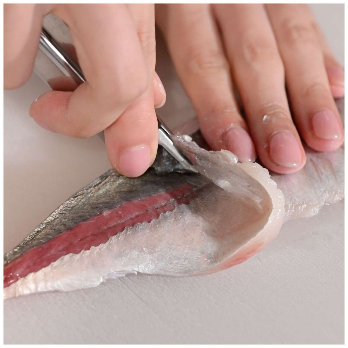 Suwada General Use/Fish Bone Tweezer 10.5 cm