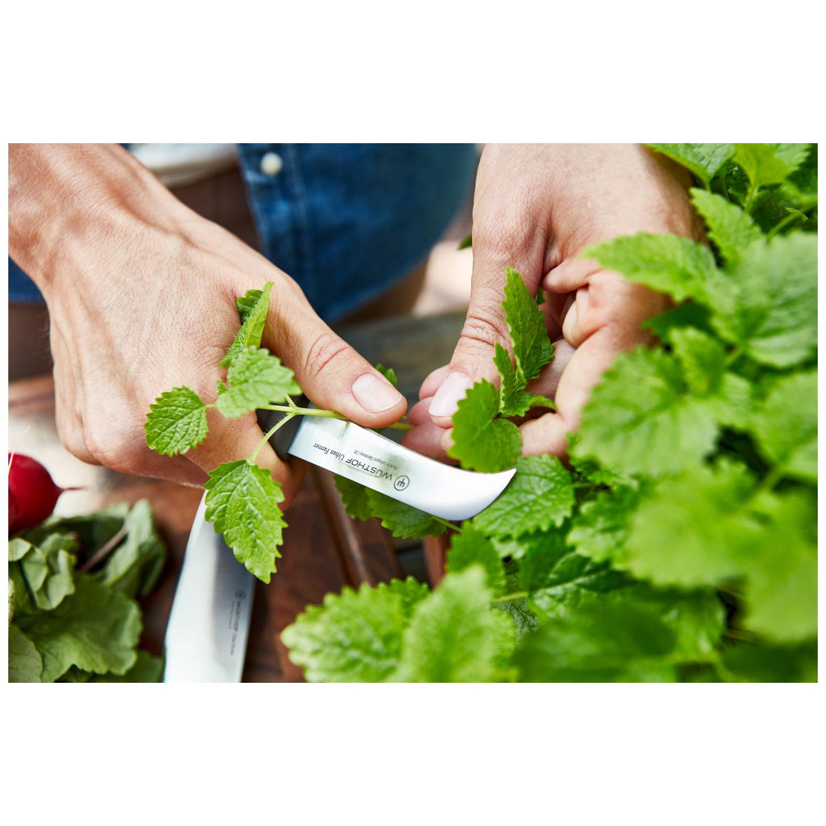 Wusthof Utility Knife 8 cm Urban Farmer 1025247808